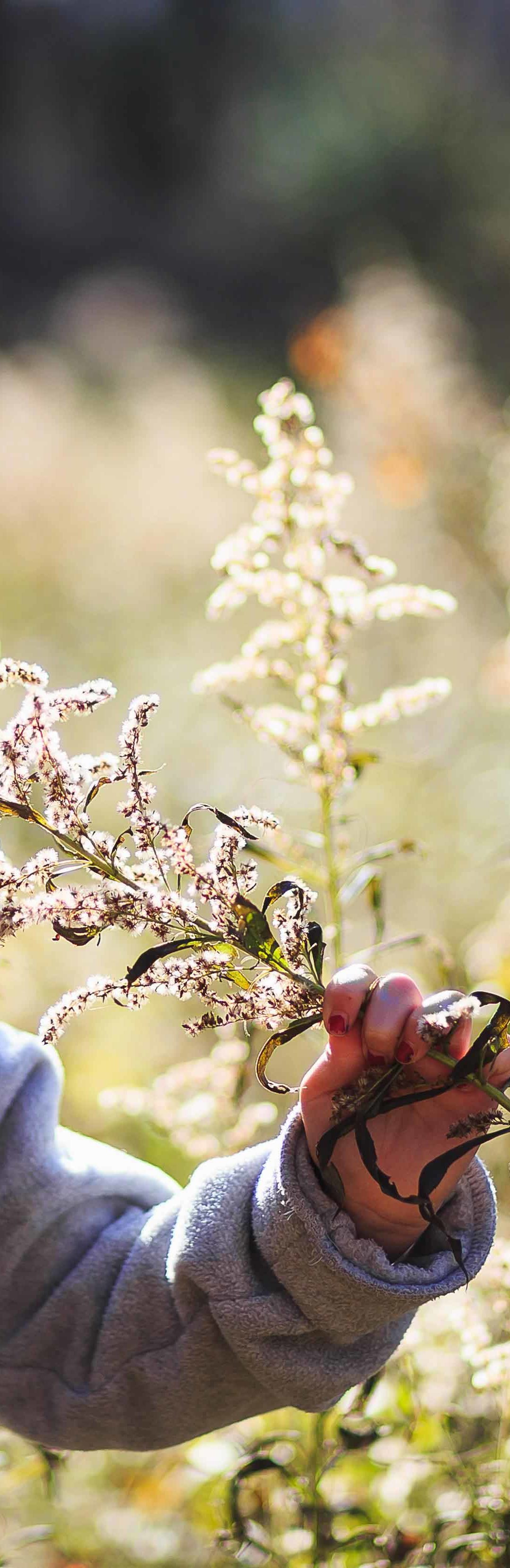 Kind mit Brille riecht an Blumen